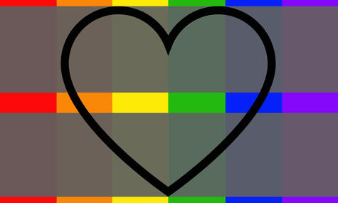 Not being romantically attracted to every gender, but the gender of the person they are romantically interested in does not matter.